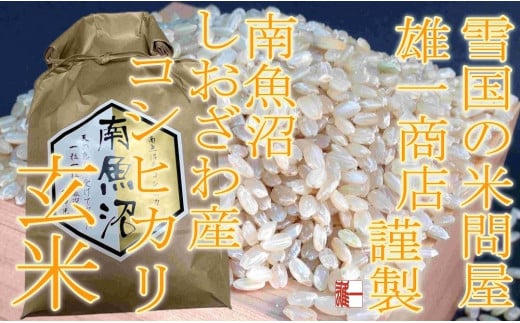 ○玄米○ 【定期便10Kg×6ヶ月】 生産者限定 南魚沼しおざわ産