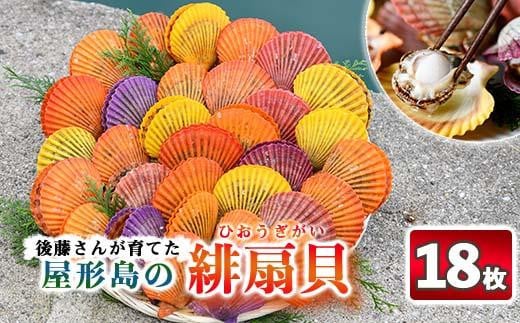 緋扇貝 (計18枚) 海鮮 ヒオウギ貝 BBQ バーベキュー 炭火焼 酒蒸し ご当地 国産 大分県 佐伯市産  屋形島で後藤さんが育てた緋扇貝 大分県 佐伯市【AX61】【後藤緋扇養殖販売】 529465 - 大分県佐伯市