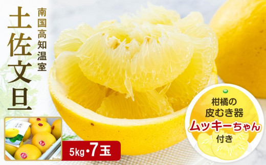 南国高知温室土佐文旦 約5kg 7玉