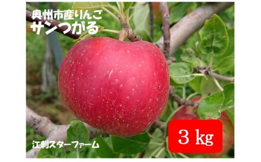 【スターファーム】 こだわり栽培の サンつがる 厳選品 3kg 岩手県奥州市産りんご 産地直送 フルーツ 離島配送不可 [AY005] 534447 - 岩手県奥州市
