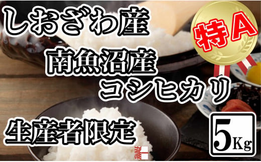 生産者限定 契約栽培 南魚沼しおざわ産コシヒカリ5Kg 446307 - 新潟県南魚沼市