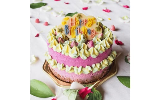 お誕生日のヴィーガンケーキ「Colorful Nature」バースデーケーキ【乳