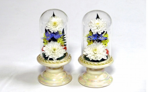 本物のキクの花を加工したボトルフラワー【お悔やみの贈り物ギフトに・ご自宅用に】