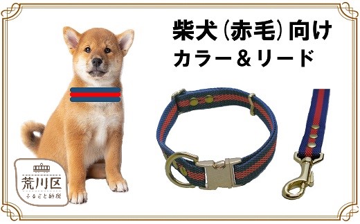 柴犬用カラー（首輪）＆リード(カラー：紺・赤・紺) - 東京都荒川区