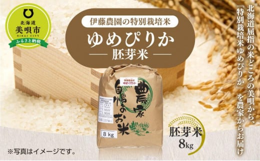 [令和4年産]伊藤農園の特別栽培米ゆめぴりか 胚芽米(8kg)