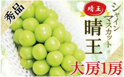 令和5年発送分】岡山県産シャインマスカット晴王【秀品】大房1房