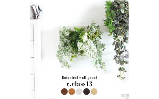 Botanical c.class 13　ホワイトウッド 567993 - 愛知県名古屋市