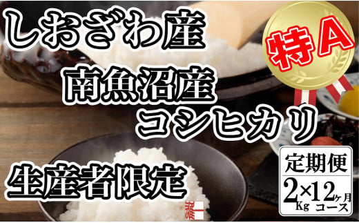 【定期便：２Kg×12ヶ月】生産者限定 契約栽培 南魚沼しおざわ産コシヒカリ 446332 - 新潟県南魚沼市