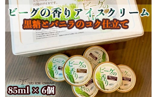 ビーグの香り アイス アイスクリーム セット 6個 ( 1種 ) UD ICE CREAM 沖縄素材をアイスに使用 591469 - 沖縄県豊見城市