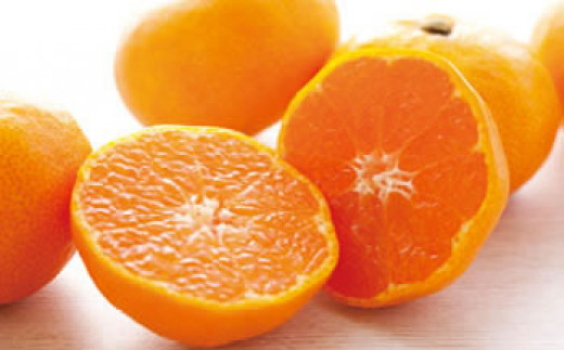 蔵出ししもつみかん