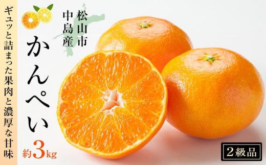 【みかん】かんぺい２級品 愛媛 3kg 贈答 ギフト 果物 フルーツ 松山 甘平 2月発送 598836 - 愛媛県松山市
