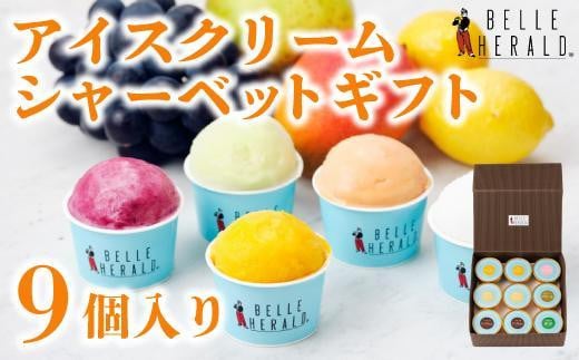 【バラエティセット】人気のアイスクリーム・シャーベット９個入り詰合せ　食べ比べ スイーツ 531991 - 愛知県名古屋市
