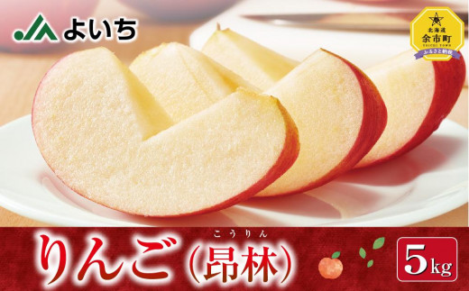 【2023年10月下旬発送分先行販売】りんご 昂林 5kg 北海道産