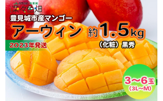 【2023年発送】アーウィンマンゴー約1.5kg（化粧）黒秀