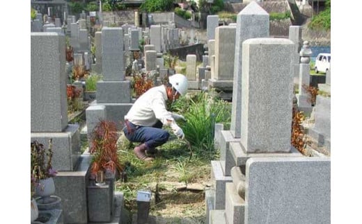 墓掃除　Cプラン 502678 - 広島県尾道市