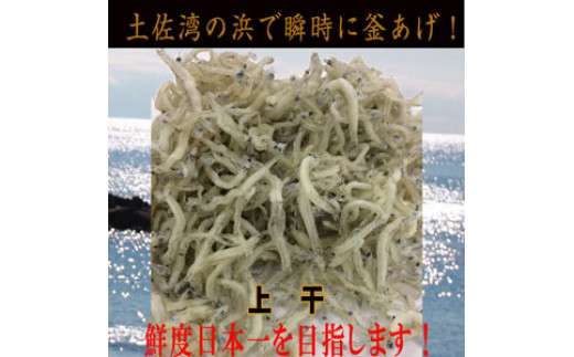 ちりめんじゃこ(上干) 約900ｇ（約300ｇ×3袋）鮮度日本一を目指します