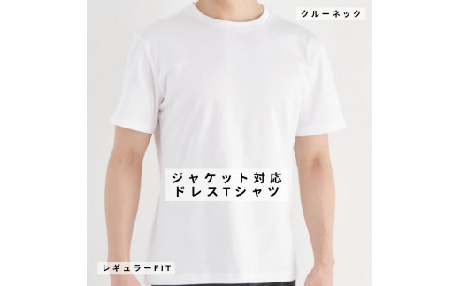 ◆サイズ：Ｌ◆【ドレスTシャツ】  GIZAコットンフライス レギュラーフィット 半袖｜クルーネック 536720 - 愛知県名古屋市
