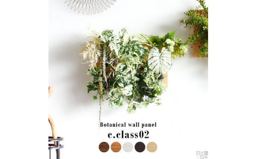 Botanical c.class 02　ホワイトウッド