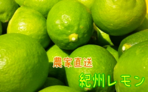 【国産】農家直送!　紀州レモン　約3kg 477877 - 和歌山県海南市