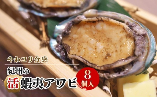 やわコリ食感紀州の蝦夷アワビ 【8個入】 - 和歌山県九度山町