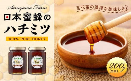 日本蜜蜂のハチミツ100％！はちみつ（2本）  高級 自然食品 無添加 ニホンミツバチ 701411 - 栃木県栃木市