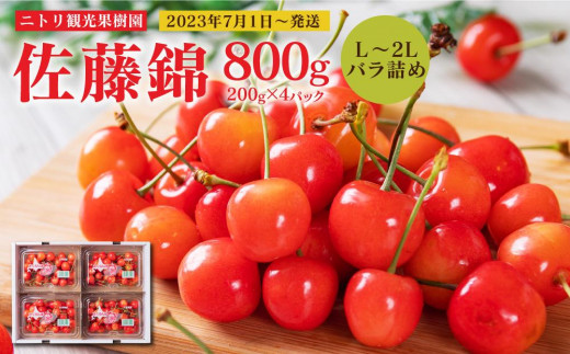 フルーツ王国余市産 「佐藤錦(L～2Lバラ詰め)」 200g×4パック【ニトリ観光果樹園】