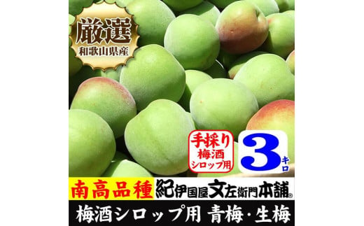 3kg【緑】■特大サイズ 南高梅 梅酒用 フレッシュ青梅（生梅）／紀伊国屋文左衛門本舗