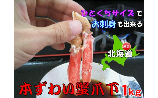 ひとくちサイズ お刺身も出来る！生冷凍ズワイガニ爪下 約1kg【北海道産・ロシア・アメリカ産】