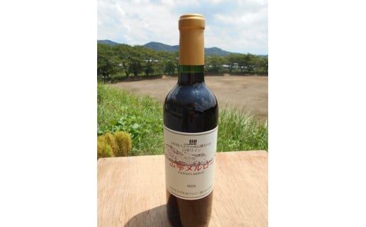 山雫メルロー：地元産ぶどう100％の赤ワイン（720ml） 700894 - 栃木県栃木市