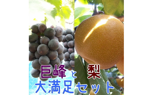 [先行予約]厳選!和歌山有田の濃厚巨峰と梨 大満足セット