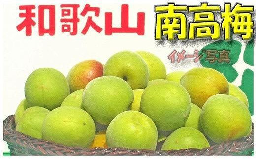 梅干・梅酒用】（4L－10kg）熟南高梅＜2024年6月中旬～7月7日発送予定＞-