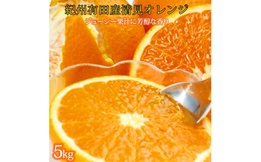 とにかくジューシー清見オレンジ　5kg【2025年3月下旬以降発送】【先行予約】【UT53】 589075 - 和歌山県高野町