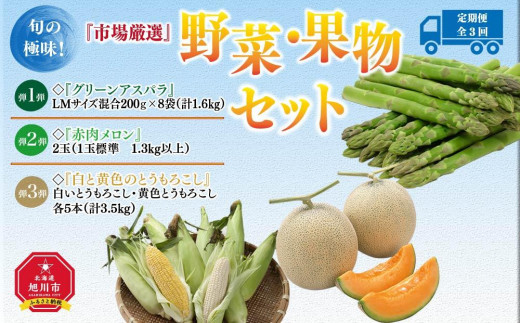 ＜2023年5月から順次発送＞【定期便/全3回】旬の極味！『市場厳選』野菜・果物セット