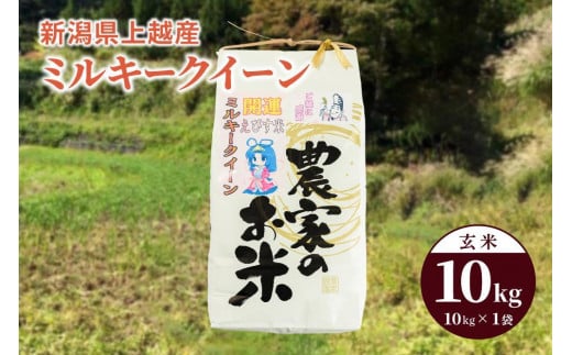 令和5年産「ミルキークイーン」新潟県上越産 玄米10kg（1袋） 714132 - 新潟県上越市