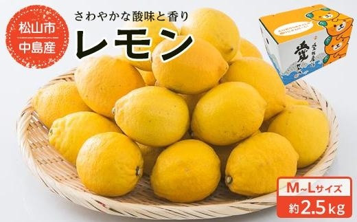 中島産　レモン M～Lサイズ　約2.5Kg 597505 - 愛媛県松山市