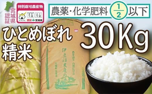 お米 ひとめぼれ【令和２年産】精米済み 30キロ（5kg×6） - 米/穀物