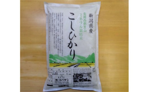 特別栽培米コシヒカリ（ミネラル栽培）5kg 711724 - 新潟県新潟県庁