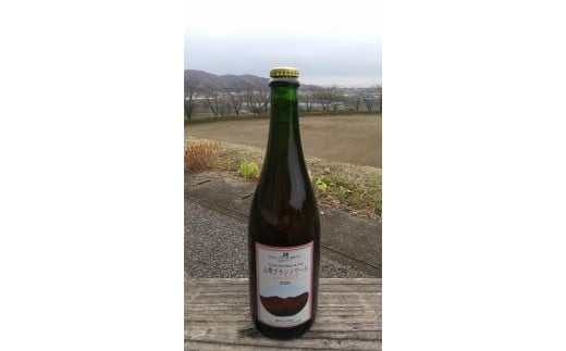 山雫ブランノワール：地元産ぶどう100％使用したスパークリングワイン（白・750ml） 700895 - 栃木県栃木市