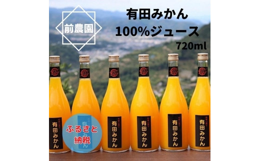 ふるさと納税 那智勝浦町 【搾りたて発送】和歌山産 有田みかん100