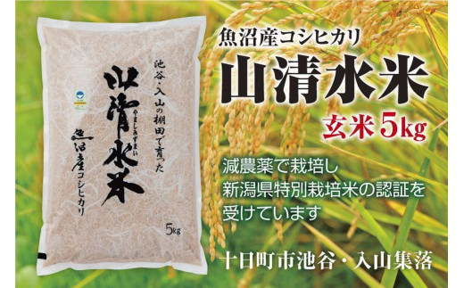 新潟県魚沼産コシヒカリ「山清水米」玄米５kg
