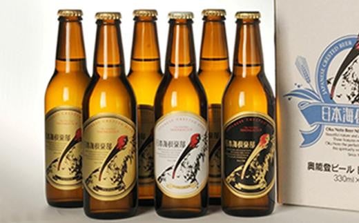 奥能登ビール　330ml×6本セット 506345 - 石川県石川県庁