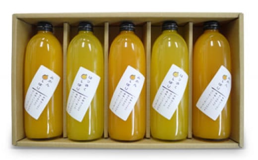 旬の柑橘 贅沢しぼりジュースの詰め合わせ ５本セット