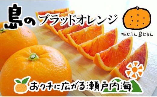 希望の島 ブラッドオレンジ（タロッコ） 3kg 愛媛 中島産