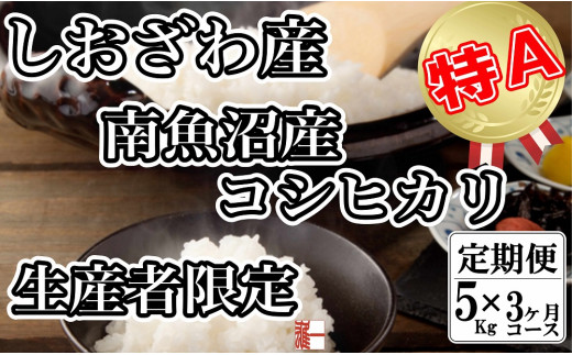 【定期便： 5Kg×3ヶ月】生産者限定 契約栽培 南魚沼しおざわ産コシヒカリ 446313 - 新潟県南魚沼市