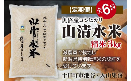 【定期便／全6回】精米3kg　新潟県魚沼産コシヒカリ「山清水米」 558911 - 新潟県十日町市