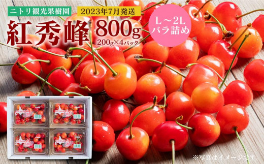 フルーツ王国余市産 「紅秀峰(L～2Lバラ詰め)」 200g×4パック【ニトリ観光果樹園】