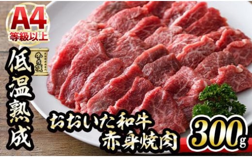 おおいた和牛 赤身 焼肉 (300g) 【DH240】【(株)ネクサ】