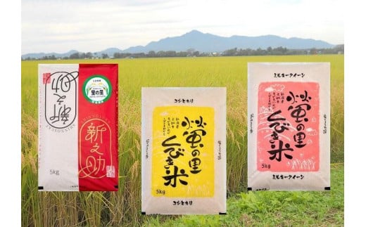 【令和4年産】新潟上越産お米食べ比べセット15kg(5kg×3品種)