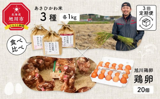 【定期便3回】あさひかわ米3種と卵の食べ比べ　