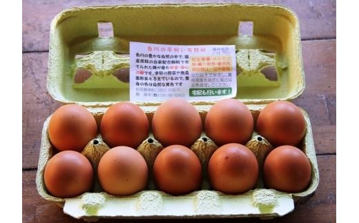 国産飼料にこだわった鶏が産む安全安心の 『レモン色たまご』1パック（10個入り）×3 483610 - 和歌山県九度山町